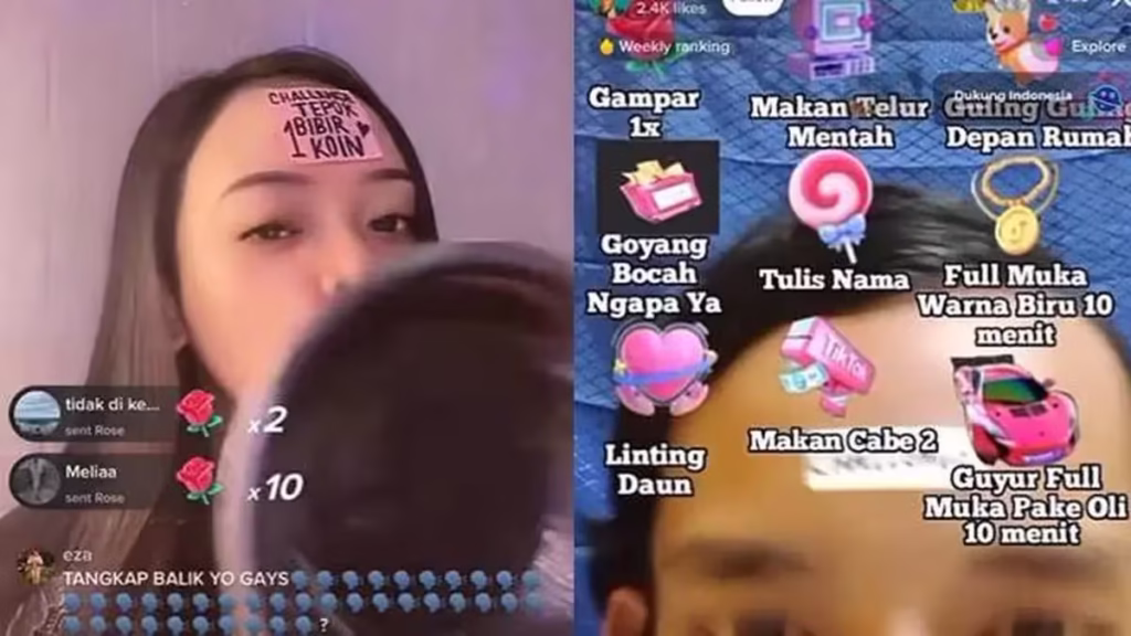 Mengapa TikTok Menjadi Platform yang Sangat Populer