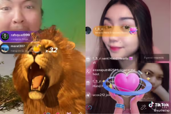 Tutorial Live Streaming di TikTok untuk Berbagai Kebutuhan