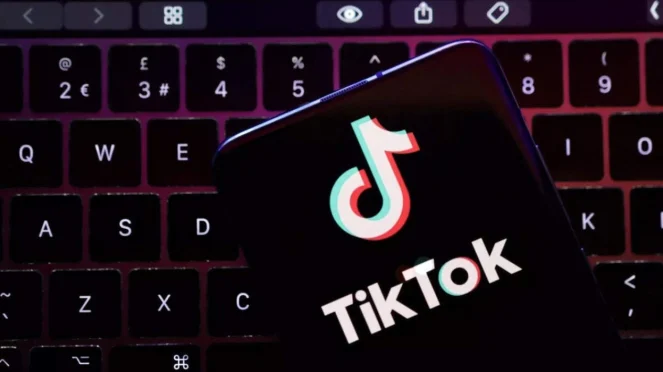 Alasan Konten Di Takedown oleh TikTok