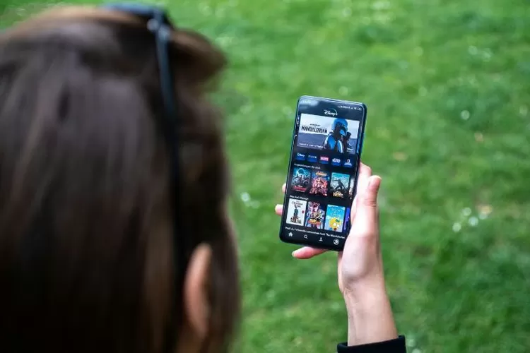 Perbandingan Aplikasi Legal vs Ilegal